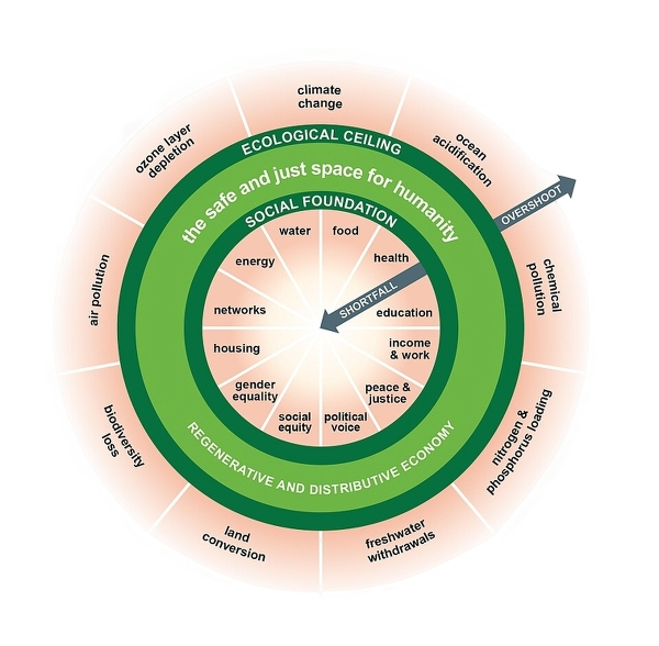Bright Phoenix Doughnut Model